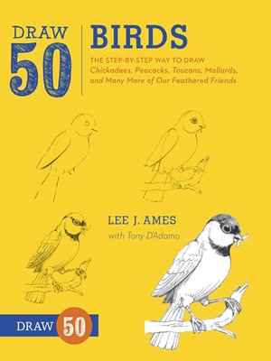 cover image of Draw 50 Birds
